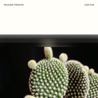 Wilson Trouvé - Cactus