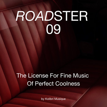 Various Artists - Roadster 09 - The License for Fine Music of Perfect Coolness (Presented by Kolibri Musique)