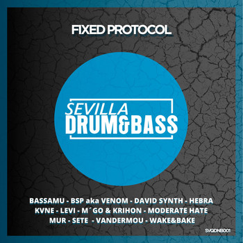 Various Artists - Fixed Protocol