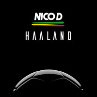 Nico D - Haaland