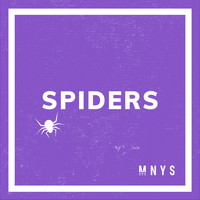 MNYS - SPIDERS