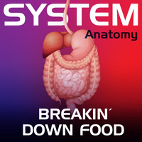 John Thomas Oaks - System Anatomy: Breakin' Down Food