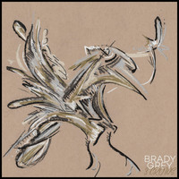 Brady Grey - 3 Crows