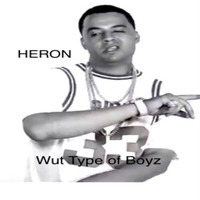 Heron - Wut Type of Boyz (Explicit)