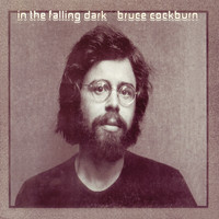 Bruce Cockburn - In The Falling Dark