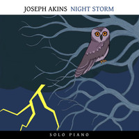 Joseph Akins - Night Storm