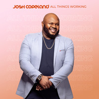 Josh Copeland - All Things Working