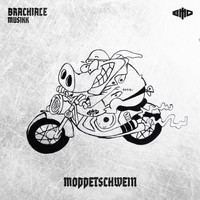 BMG - Moppetschwein