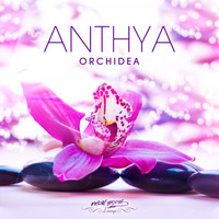 Anthya - Orchidea
