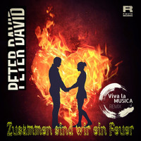 Peter David - Zusammen sind wir ein Feuer (Viva la Musica Remix)