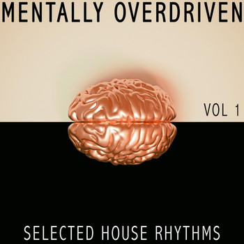 Various Artists - Mentally Overdriven, 1 - Selected House Rhythms