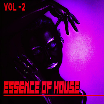 Various Artists - Essence of House, 2 - House & Deep House Collected