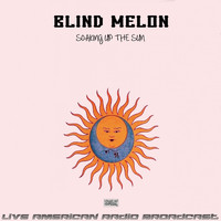 Blind Melon - Soaking Up The Sun (Live)
