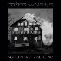 Camisa de Vênus - Agulha no palheiro