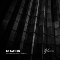 DJ Tarkan - The Meaning (Burak Cilt Remix)