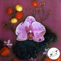 Mignon - Loud and Clear