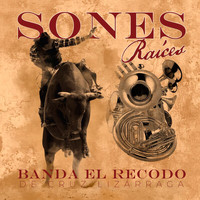Banda El Recodo De Cruz Lizárraga - Sones Raíces