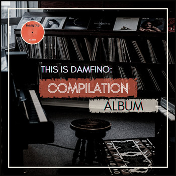 Various Artists / - This Is Damfino: Compilation Album
