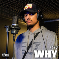 Zed - Why