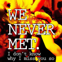 We Never Met - I Don't Know Why I Miss You So (Radio Edit)