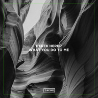 Derek Herer - What You Do to Me