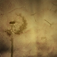 KellAr - Wind