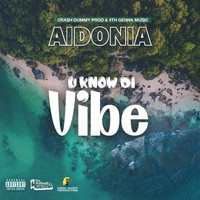 Aidonia - U Know Di Vibe (Explicit)