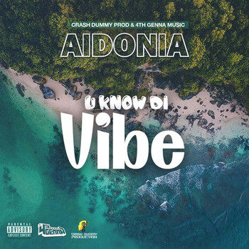 Aidonia - U Know Di Vibe (Explicit)