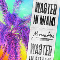 Moonshine - Wasted in Miami