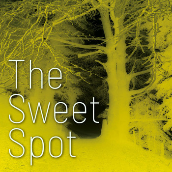 Various Artists - The Sweet Spot