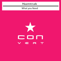 Namtrak - What You Need