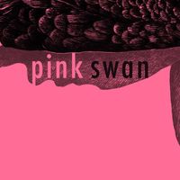 Pink Swan - Cygnus