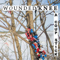 Wounded Knee - A Coup Stick