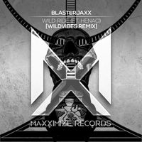 BlasterJaxx - Wild Ride (feat. Henao) (WildVibes Remix)