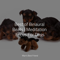 Calm Doggy, Relaxmydog, Jazz Music for Dogs - Best of Binaural Beats | Meditation Focus For Dogs