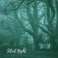 Chelsey Coy - Silent Night