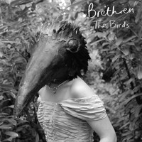 Brethren - The Birds