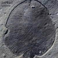 R Grunwald - Imprint