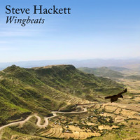 Steve Hackett - Wingbeats
