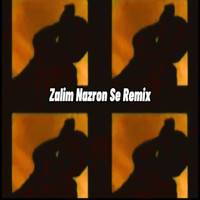 Ali Haider - Zalim Nazron Se (Remix)