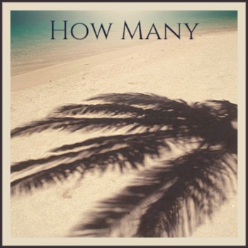 Various Artists - How Many