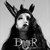 Divier - Denso