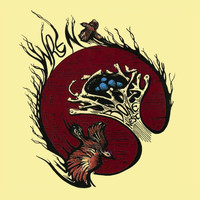 Wren - Bone Nest