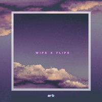 Erb - wips x flips