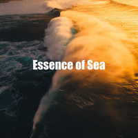 Seascapers - Essence of Sea