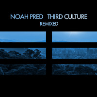 Noah Pred - Third Culture Remixed