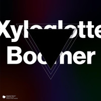 Xyloglotte - Boomer