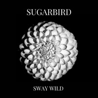Sway Wild - Sugarbird