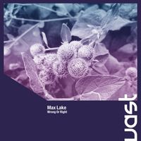 Max Lake - Wrong or Right (Radio Edit)