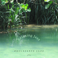 #Relajante Jazz - Relaxing Evening Jazz 2